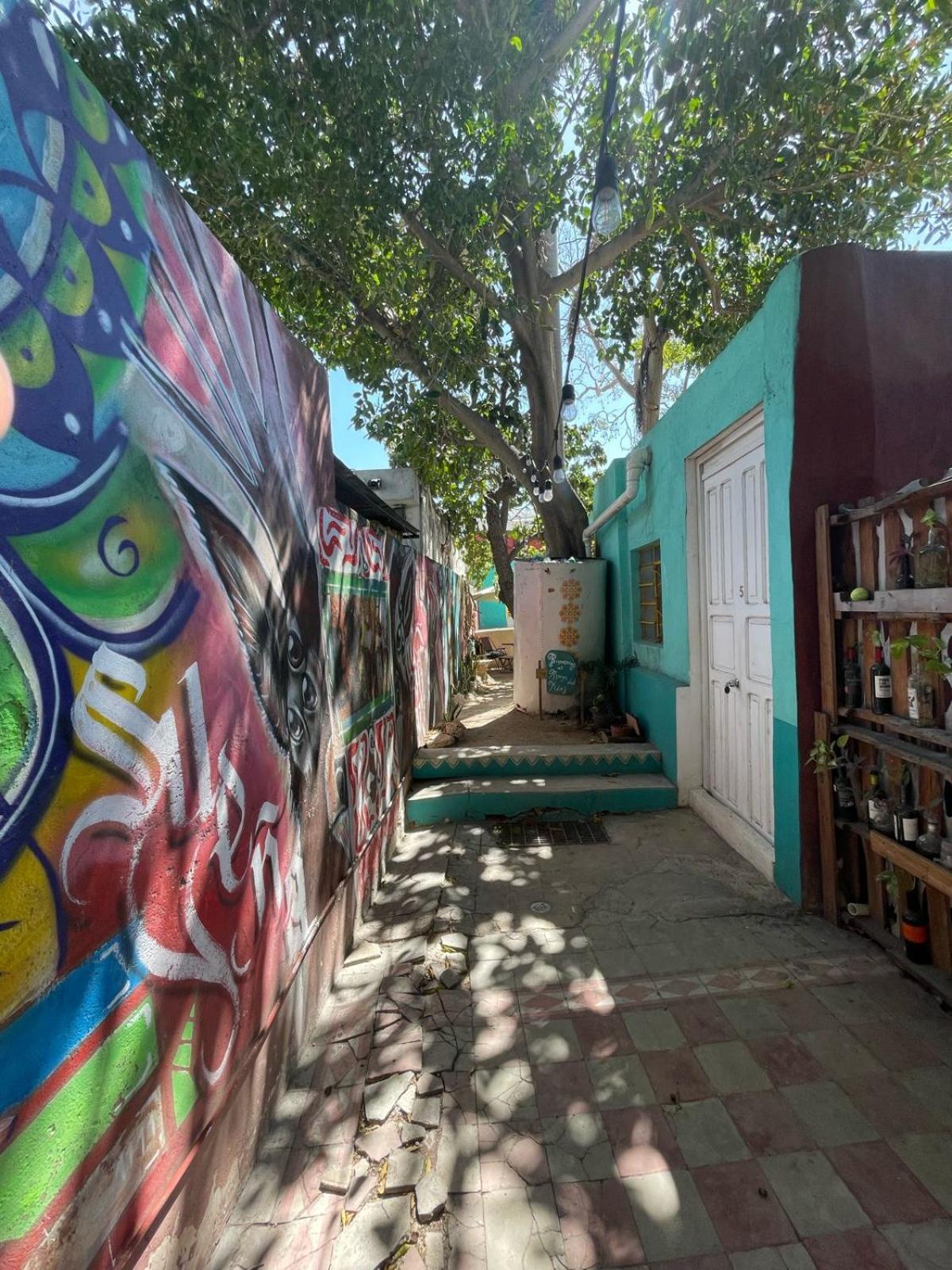La Casa Del Keej Hostel 메리다 외부 사진