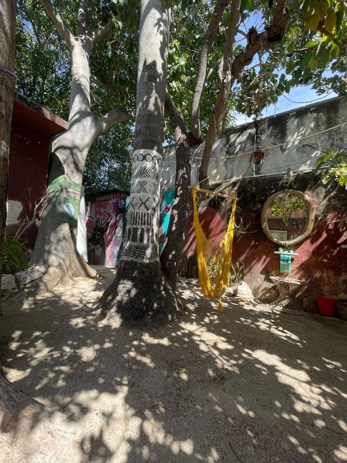 La Casa Del Keej Hostel 메리다 외부 사진